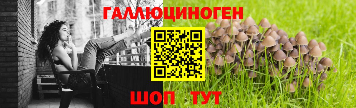 Минусинск  Псилоцибиновые грибы MAGIC MUSHROOMS  Вход с VPN 